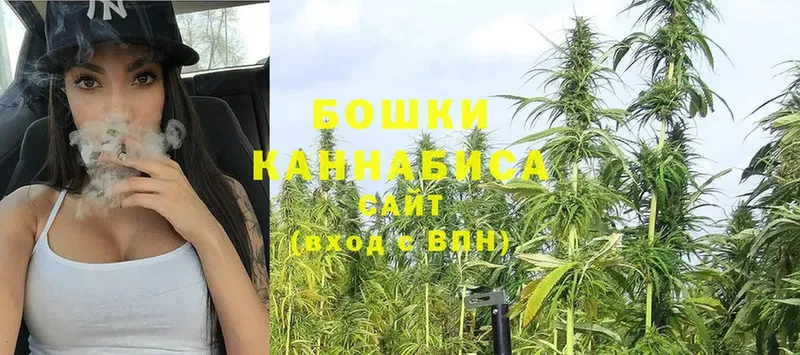 Бошки марихуана White Widow  Новодвинск 